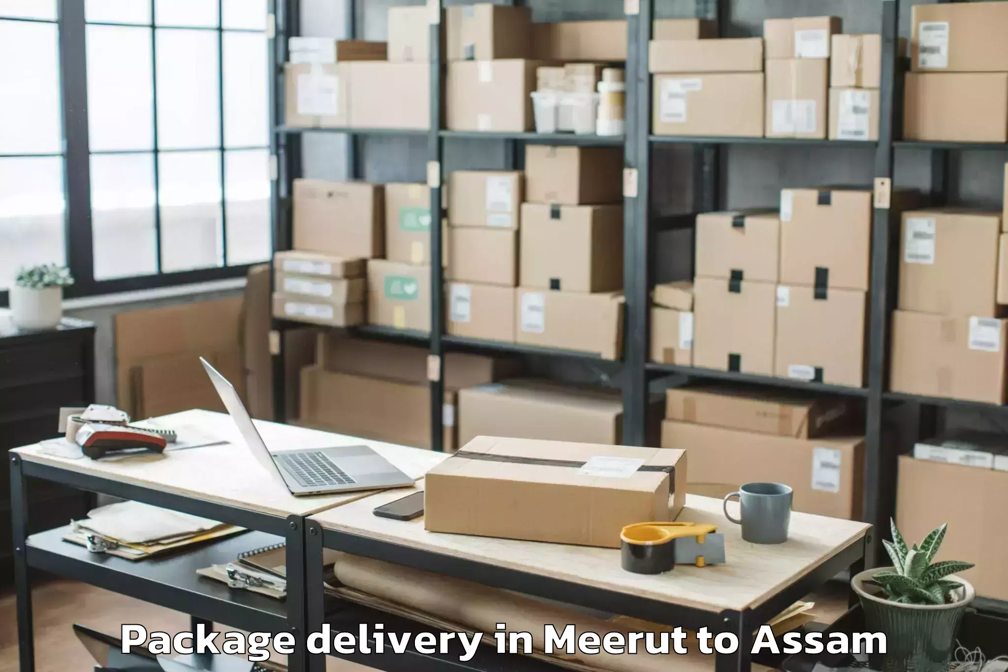 Get Meerut to Bengtol Package Delivery